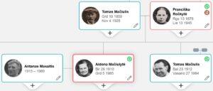 Aldona Mačiulytė medis