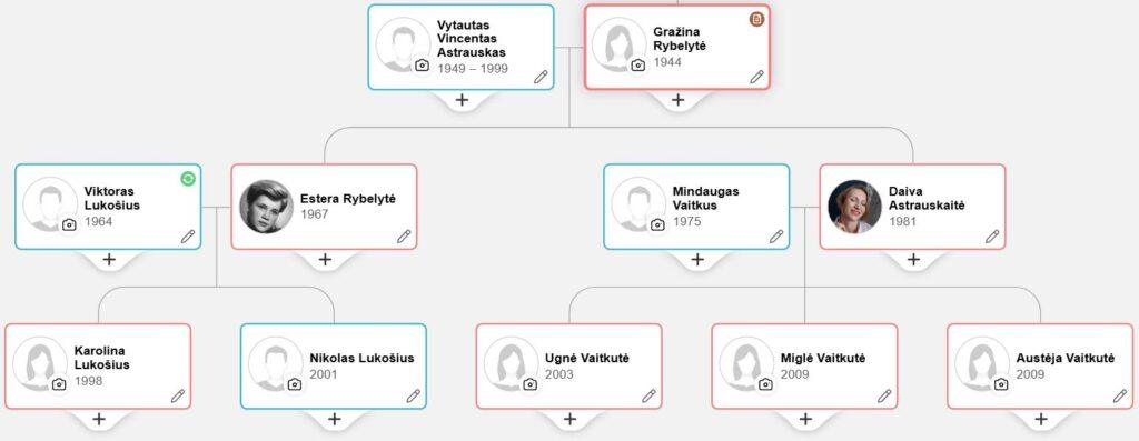 Gražinos Rybelytės medis